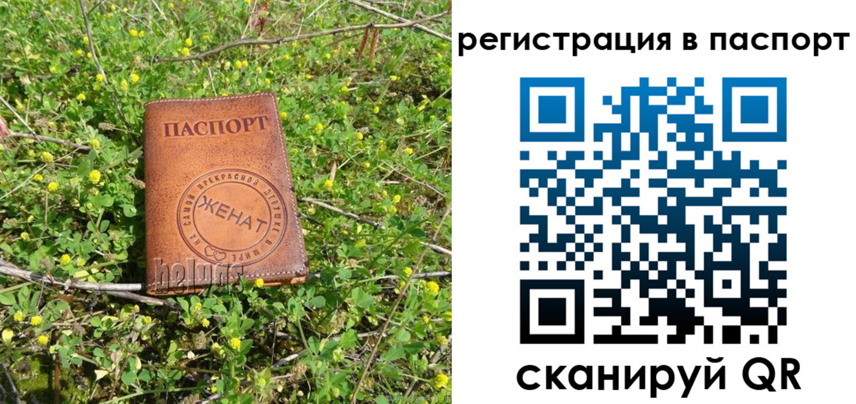 прописка законно в Азове